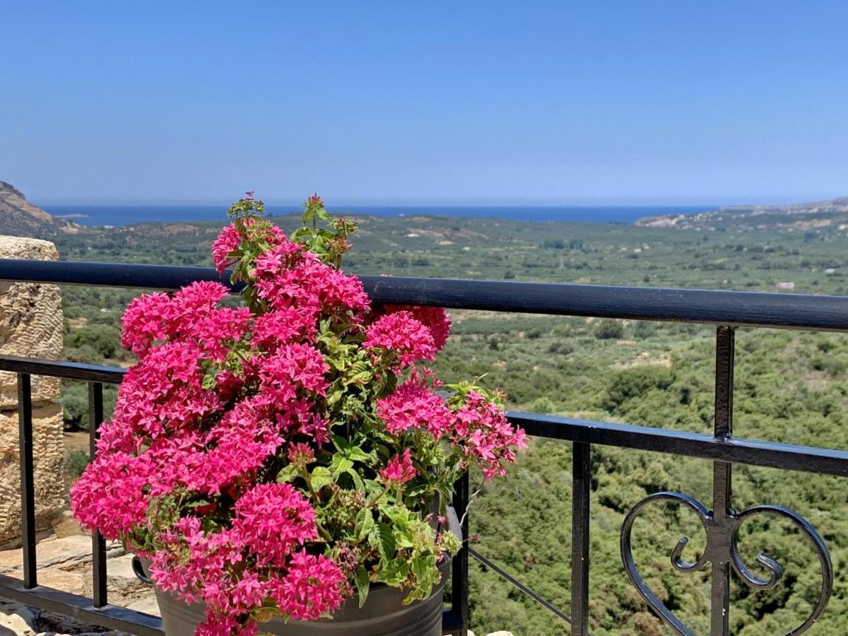 Villa Vangelis Stylos Crete 萨门纳斯 外观 照片